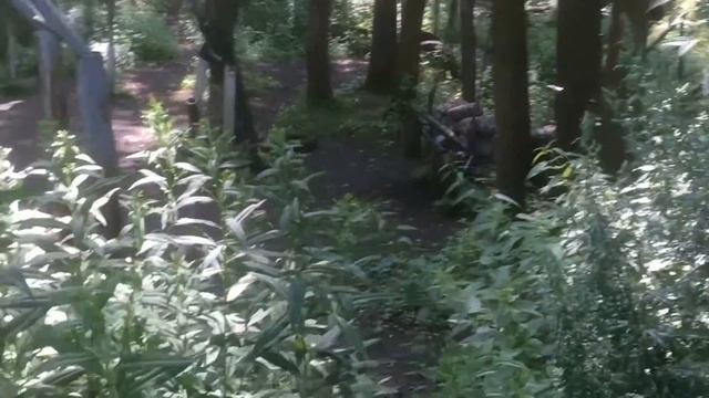 Озеро Плотина в Раменском. смотреть онлайн