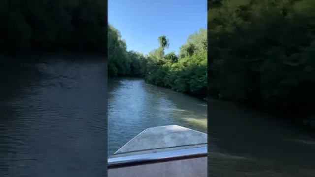 Казачий Ерик, летим на лотосы? смотреть онлайн