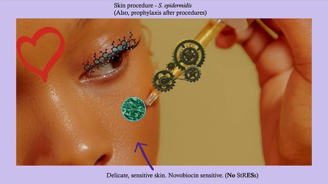 Short story: Staphylococcus epidermis смотреть онлайн