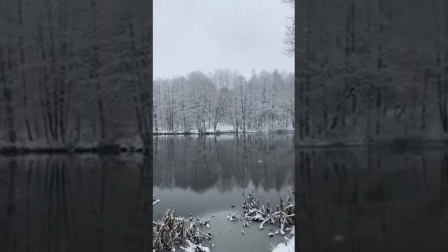 Агроусадьбы "Мазычи" и Ветвица". Приглашаем посетить! Зимняя прогулка.... смотреть онлайн