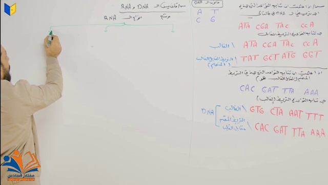 الفصل الخامس المحاضرة : 27 (اسئلة ال DNA)