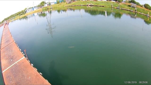 Рыбалка в Бисерово 12.06.19 смотреть онлайн