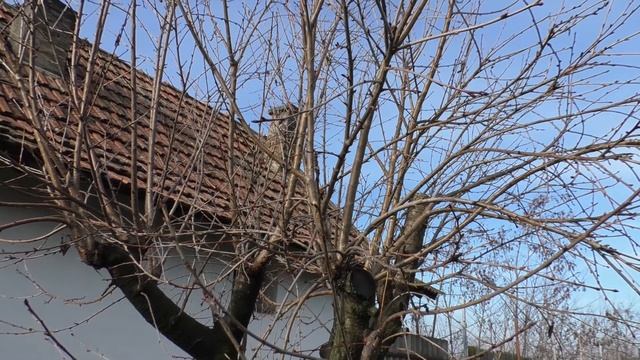 Panasonic HC-MDH3 full HD 50Mbit/sec MOV video quality test смотреть онлайн