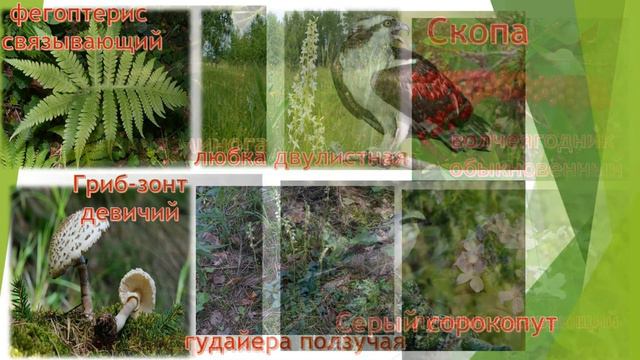 Я люблю это село, эту страну, эту Землю! смотреть онлайн