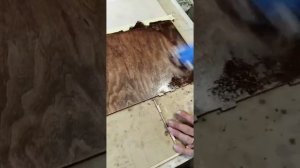 Нанесение масло воска на полированную фанеру