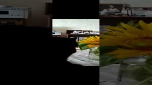 Ася ест цветок