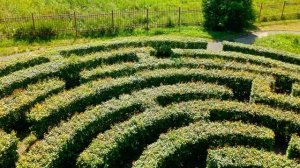 Борисовский Санаторий Лето 21