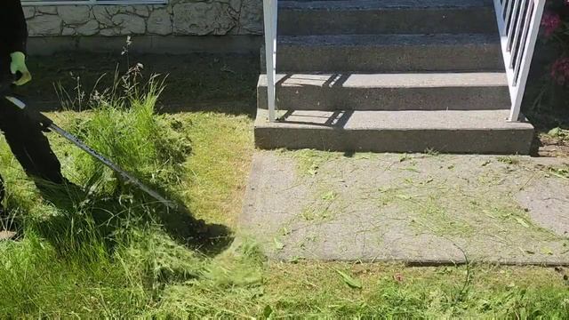 NOBODY mowed this yard since homeowner DIED PART 2, #lawnmowing #lawncare #mowing #lawn #mowing смотреть онлайн