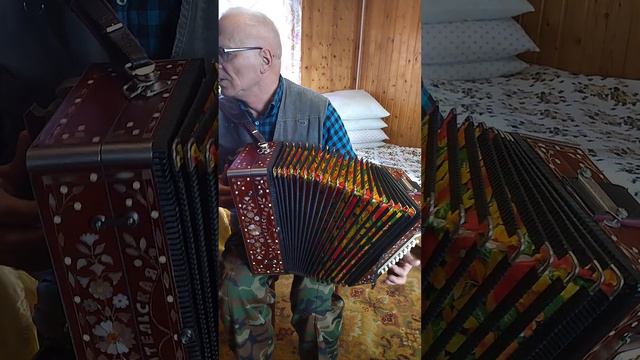 Продается мастеровая гармонь Ре# 6-ка в корпусе 8-ки. смотреть онлайн