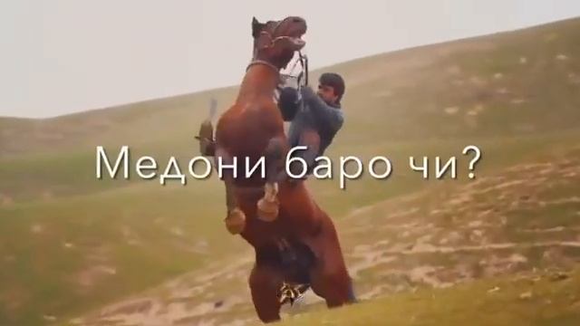 АСПИ КАЛОНТАРИНИ ИСМОИЛ ДАР БУЗКАШИ/ ISMOIL BUZKASHI? смотреть онлайн