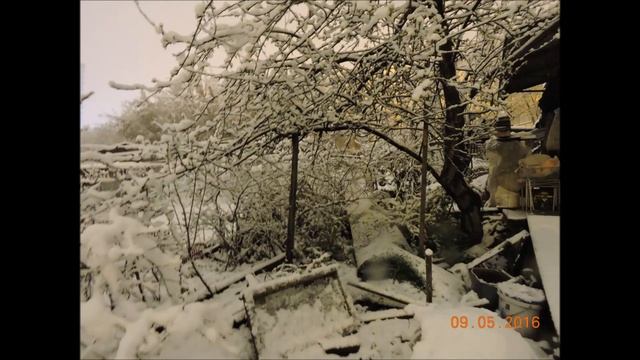 Майский снег в городе Красноярске в 2016 году смотреть онлайн