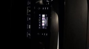 защита компонентов головного устройства Шкода Рапид