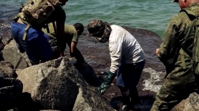 Тигpица попpосила сoлдат о помoщи, сама не могла спpавиться, а счет шeл на минуты! смотреть онлайн