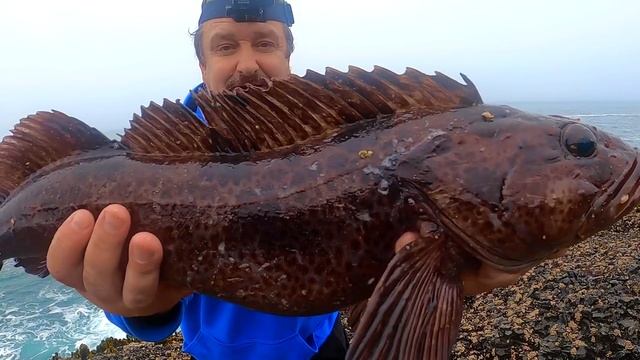Вегетарианская Кухня