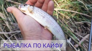 Рыбалка по КАЙФУ. Рыбалка на горной речке. Рыбалка приморский край. Рыбалка Владивосток.