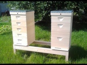 10-ти рамочный безфальцевый улей + демонстрационный корпус.