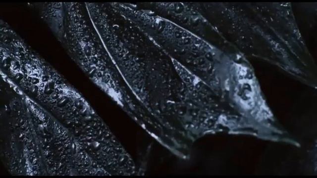 giorgio armani acqua di gioia eau de parfum da donna TV Spot pubblicitario 31'' смотреть онлайн