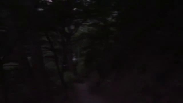 2016.06.11 Крым, Ялта Поляна Сказок (1 часть ориг.записи) смотреть онлайн