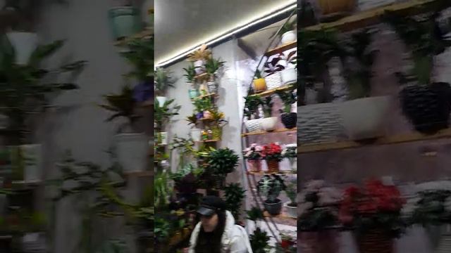 Гул дуконига саёхат смотреть онлайн