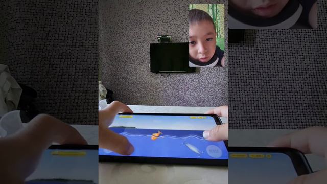 Кваки против РЫБ - ПЫТАЕМСЯ ПРОЙТИ УРОВЕНЬ- игры для детей смотреть онлайн