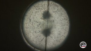 10. Электричество. Поле вблизи проводника