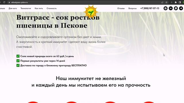 SEO-аудит - wheatgrass-pskov.ru смотреть онлайн