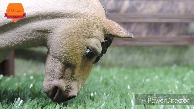 ТИПЫ ЛОШАДЕЙ | SCHLEICH смотреть онлайн