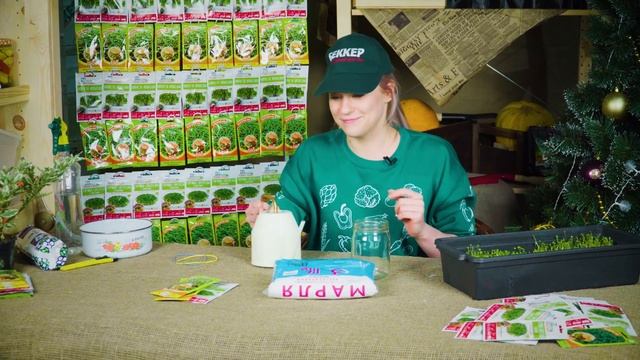 Выращиваем микрозелень дома круглый год! ?3 способа: просто, быстро, дешево смотреть онлайн