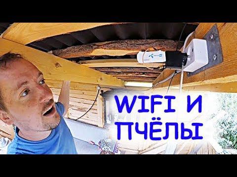 ВАЙФАЙ ПРОТИВ ПЧЁЛ!!!??? ТОЛЬКО ФАКТЫ смотреть онлайн