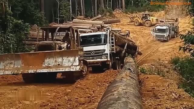 Большегрузный лесозаготовительный автомобиль Mercedes Benz 4043 Actros. На Бездорожье. смотреть онлайн