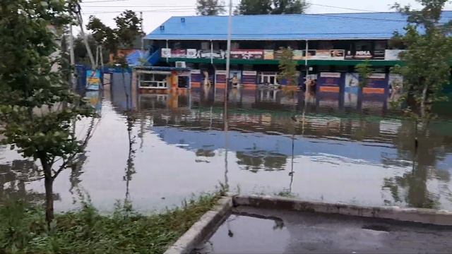 г.Хабаровск, ул. Флегонтова смотреть онлайн