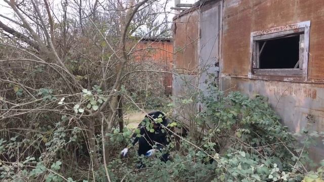 Дача. Кто я, куда еду и что я буду делать... смотреть онлайн