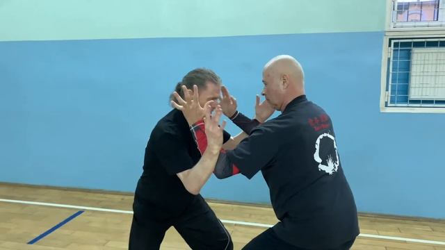 Ицюань Туйшоу / Yiquan Push Hands / Отработка Туйшоу Шили и ударов  (05.05.21)