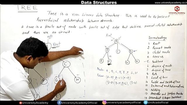 DSUC55: Tree in Data Structure | Tree Properties | Basic Terminology of Tree in Hindi смотреть онлайн