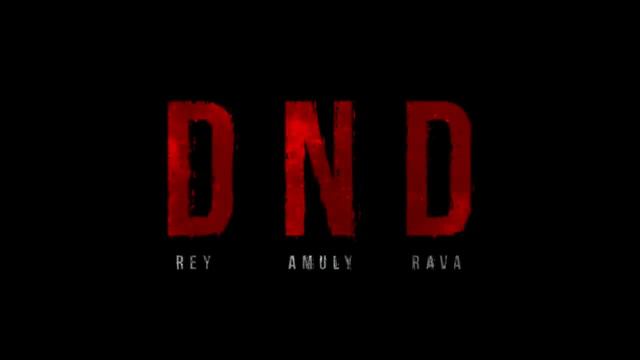 Rey x Amuly x RAVA - DND (Visualizer) смотреть онлайн