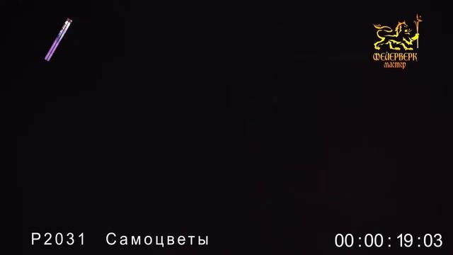 Р2031 Римская свеча "Самоцветы" смотреть онлайн