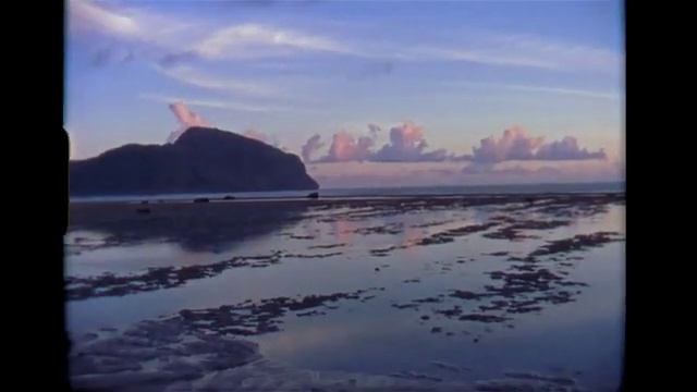 Billabong Women's Spring 18 смотреть онлайн