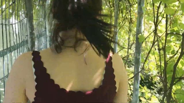 Путешествие по Польше: озеро Морське Око в Татрах, Краков, Варшава. смотреть онлайн