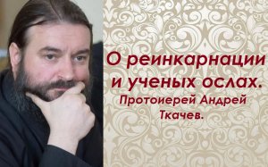 О реинкарнации и ученых ослах. Протоиерей Андрей Ткачев.