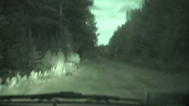 едим на рыбалку. смотреть онлайн