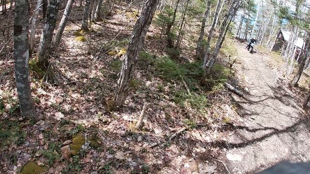 Ltr 450 and pw50 young fella kills it in the trails смотреть онлайн