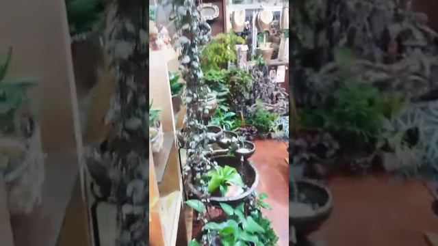 Шопинг в Корее. Покупки подарков на новый год смотреть онлайн