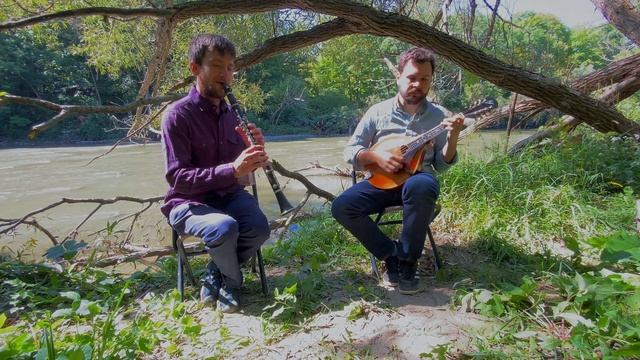 Balfolk (European Folk) Mandolin & Clarinet | Adrian Gross & John David Williams | Mazurka à Rigal смотреть онлайн
