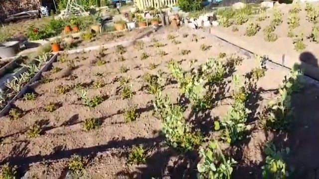 Напекла в дорогу детям хачапури//Проводила и на дачу// смотреть онлайн