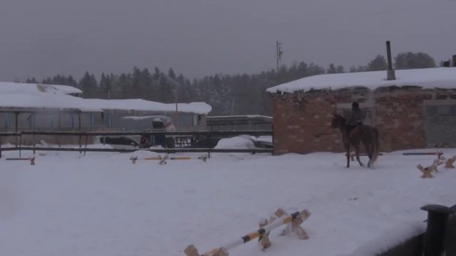 2012 02 26 8 Орлик Вероника Корнет смотреть онлайн