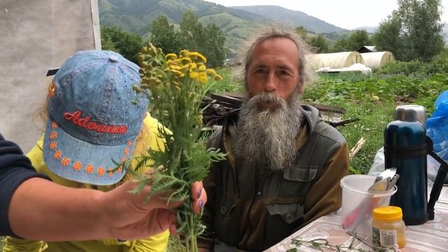 Алтай-травяной рай со знахарем Радомиром 2018-07-25 смотреть онлайн