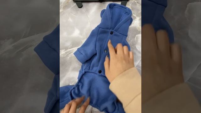 Костюм из трехнитки с начёсом TM Dogs Bomba. Одежда для собак оптом смотреть онлайн