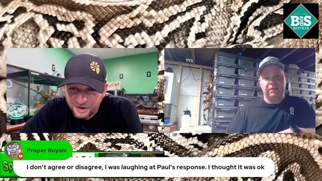 S2-Ep.17: Live W/ Paul Santoriello of Large Marge Morphs Talking Ball Pythons & Ball Python Breedin смотреть онлайн