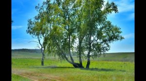 А. В. Жигулин "О, Родина! В неярком блеске"
