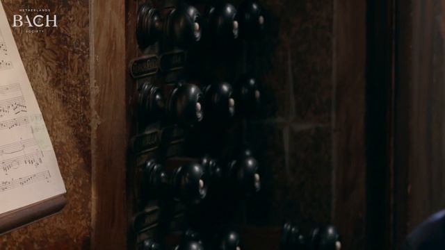 Bach - Kyrie, Gott Vater in Ewigkeit BWV 669 - Van Doeselaar | Netherlands Bach Society смотреть онлайн